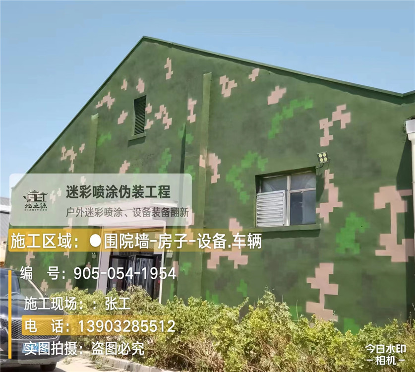 天水外墙数码迷彩漆施工报价清单(100㎡标准墙面测算)